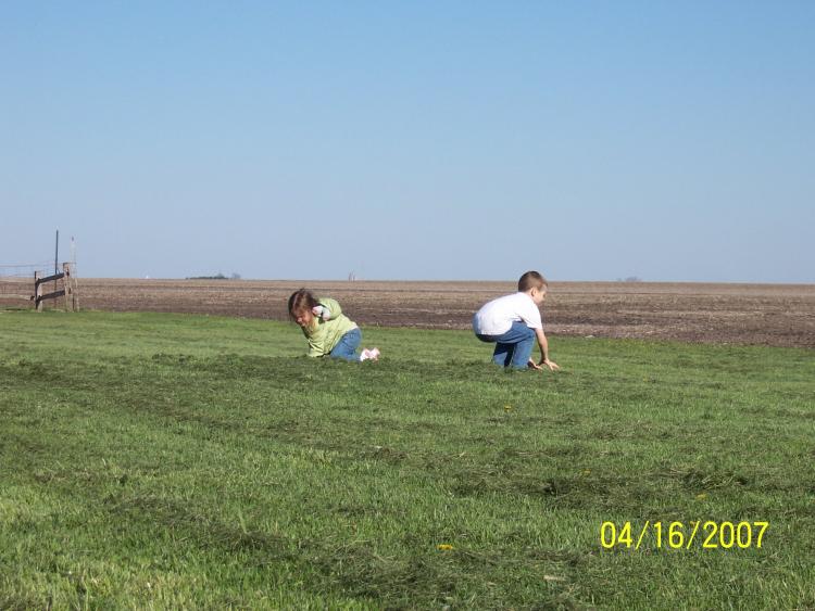 Collecting Grass